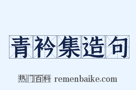 青衿集造句是什么意思的图片